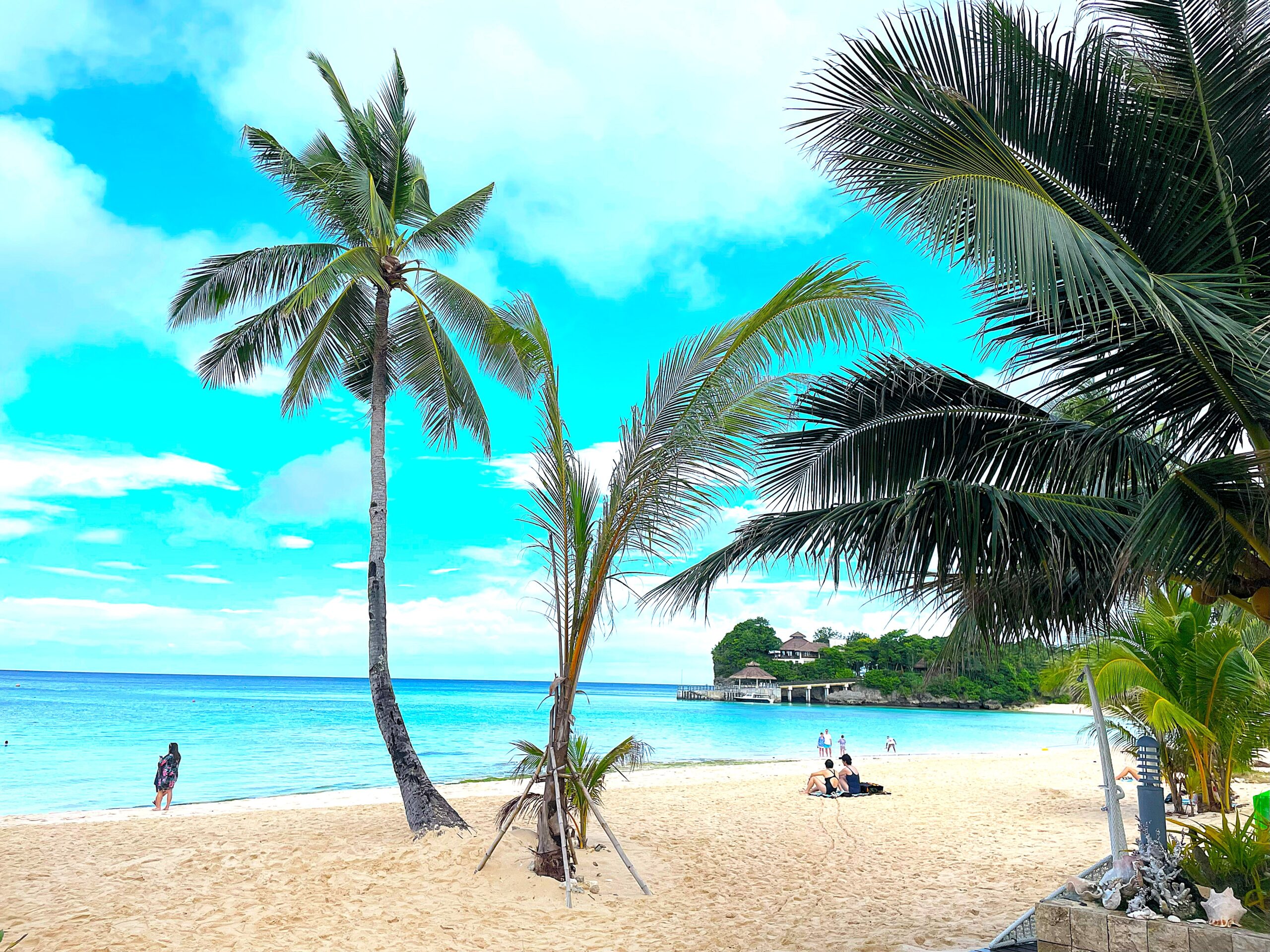 LIVE FREELY ESTATE LLC